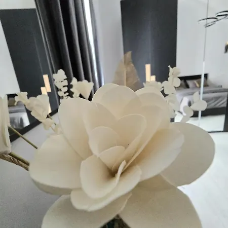 Mare E Relax * Mola di Bari